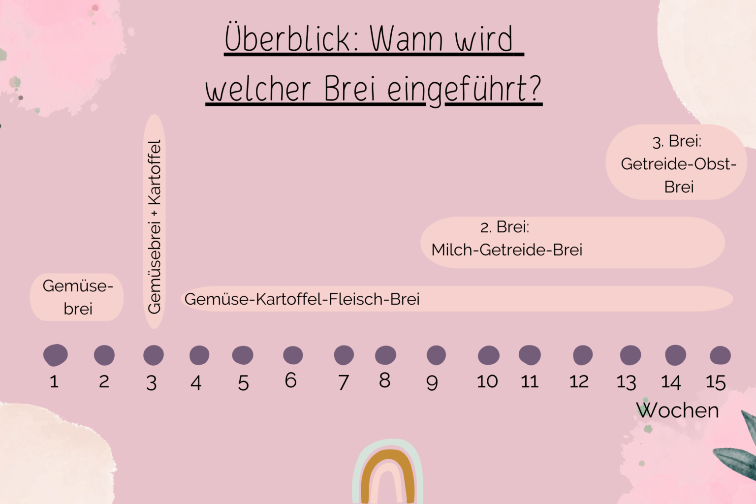Überblick Wann wird welcher Brei eingeführt? Beikost Familienkost